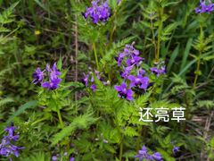 -洋湖国家湿地公园