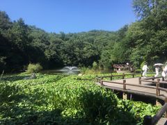 -天目湖山水园