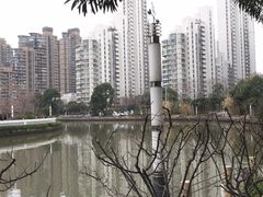 -新湖明珠城