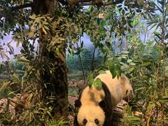 -陕西自然博物馆