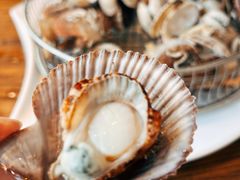 扇贝-海味当家·蒸锅海鲜(星海公园店)