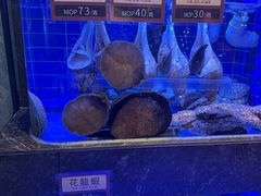 -協成海鮮火鍋(老店)