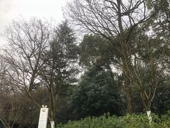 -杭州少年儿童公园