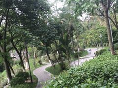 -火炉山森林公园