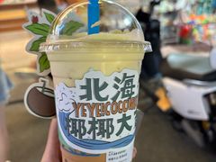 -椰椰大吉(侨港店)