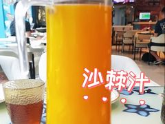 -撒拉花儿·新疆菜·清真(太阳宫店)