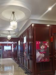 -南京医科大学友谊整形外科医院