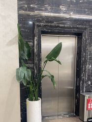 -上海首尔丽格医疗美容医院