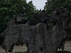 -龙头寺公园