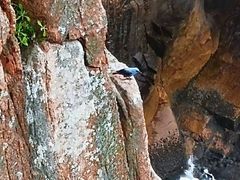 -枸杞岛