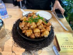 -丁老爷子苏香圆