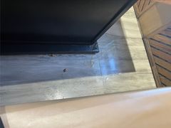 -额尔敦传统涮.冰煮羊火锅(乌兰察布体育场店)