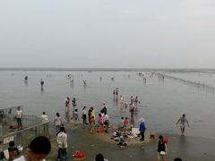android_upload_pic-上海棕榈滩海景酒店