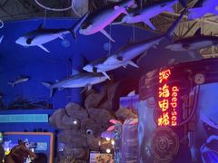 -烟台海昌鲸鲨海洋公园