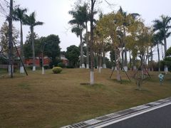 -八仙山公园