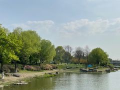 -贡湖湾湿地公园