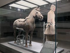 -秦始皇帝陵博物院(兵马俑)