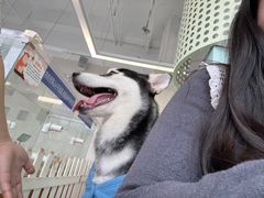 -怪兽屋·羊驼·猫咖·狗咖(俊华广场店)