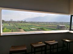 -翠田Green Field Kitchen