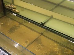 -Isla Sugbu Seafood City