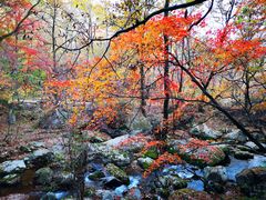 -丹东天桥沟景区