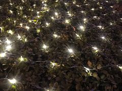 -远洋未来广场(育慧北路店)