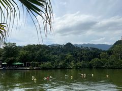 -星湖旅游景区七星岩