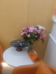 -苑苑vbeauty科技美容SPA