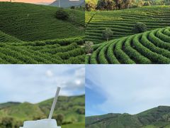 -阿露佳·舌尖上的安吉菜