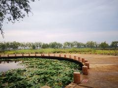 -绿堤公园
