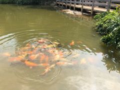 -云溪植物园