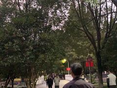 -赭山公园