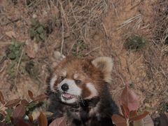 -云南野生动物园