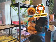 -百好乐宠物友好餐厅(朝外大街店)