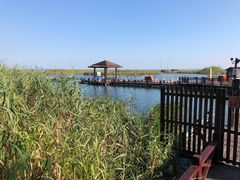 -苏州太湖湖滨国家湿地公园