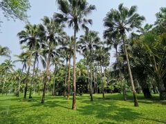 -中国科学院西双版纳热带植物园