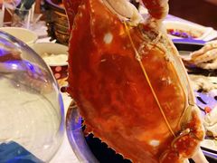 -半岛听涛蒸汽海鲜自助(K11店)
