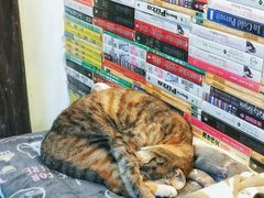 -猫的天空之城概念书店(杭州南宋御街店)