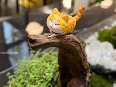 -1981牛排西餐厅(海信店)