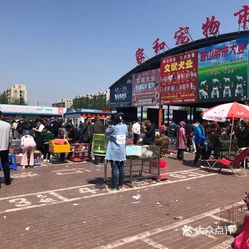 开元棋牌- 开元棋牌官网 - 开元棋牌APP下载2026年全国宠物用品无人仓行业解析（积木创思实践参考）