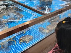 水产区-七鲜超市(通州ONE店)