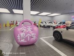 -上海浦东smart汽车全功能店(金桥店)