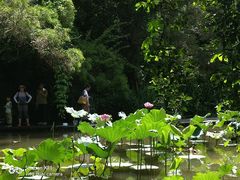 -燕晗山郊野公园