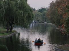 -上海共青森林公园