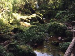-赤水丹霞旅游区·佛光岩