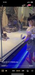 -未来动物城动物主题公园(大悦城店)