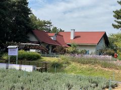 -云峰山自然风景区