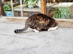 -故宫冰窖餐厅