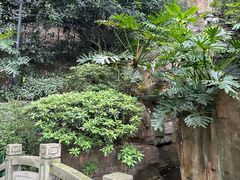 -巴倒烫陆派火锅山庄(南山总店)
