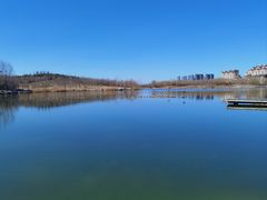 -马家湾湿地公园
